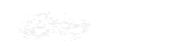 Group (5)